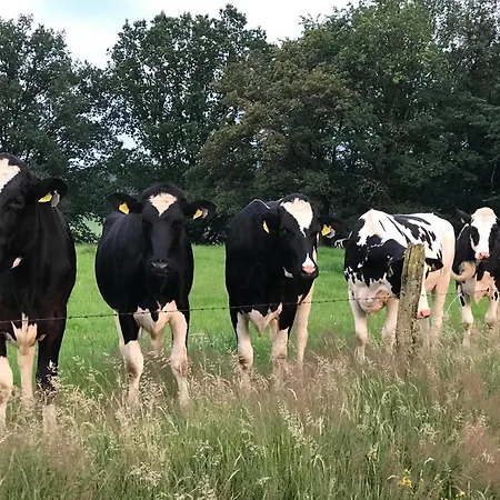 In Zentraler Lage-18 Minuten Mit S-bahn In Koeln Zentrum Bergisch Gladbach