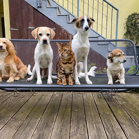 In Zentraler Lage-18 Minuten Mit S-bahn In Koeln Zentrum