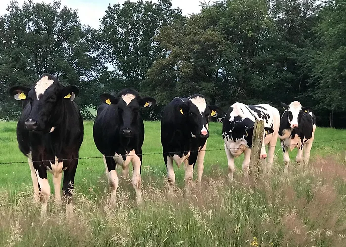 In Zentraler Lage-18 Minuten Mit S-bahn In Koeln Zentrum Bergisch Gladbach