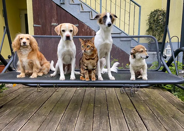 In Zentraler Lage-18 Minuten Mit S-bahn In Koeln Zentrum